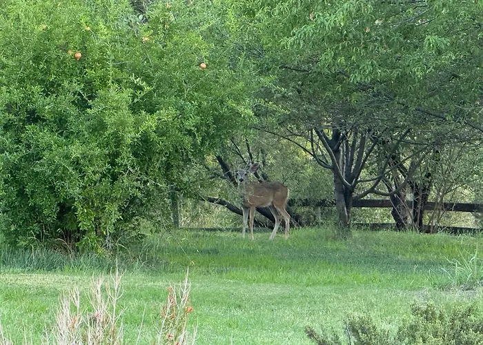 Natures Oasis Sanctuary Organic Gardens Cornville